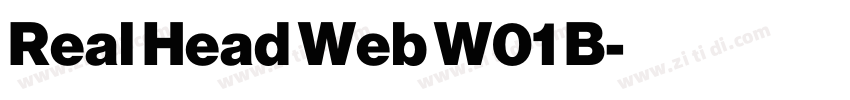 Real Head Web W01 B字体转换 Real Head Web W01 B字体转换